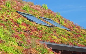 Laughton En Le Morthen living roof systems