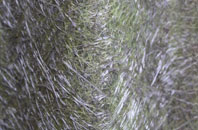 Laughton En Le Morthen fibreglass roof work